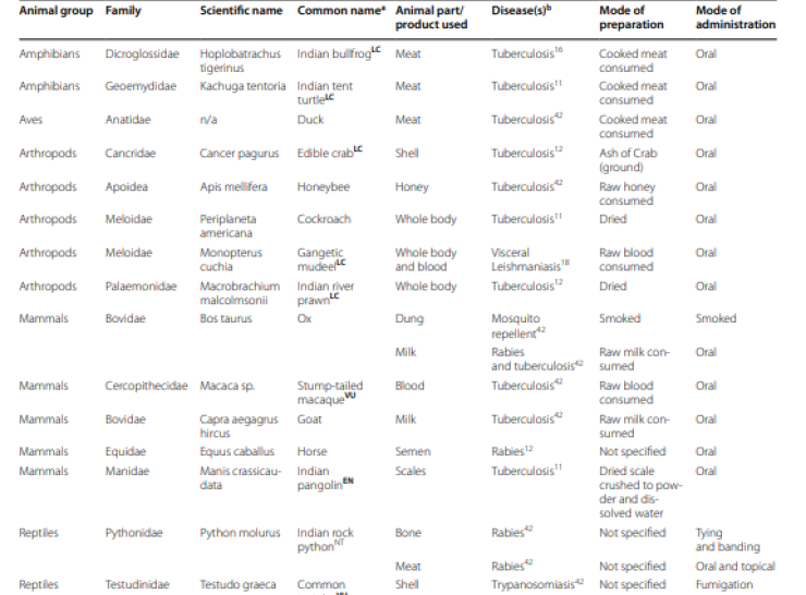 Reported zoo-therapeutic use of animal species